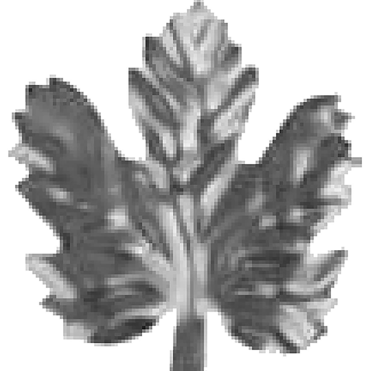 19669