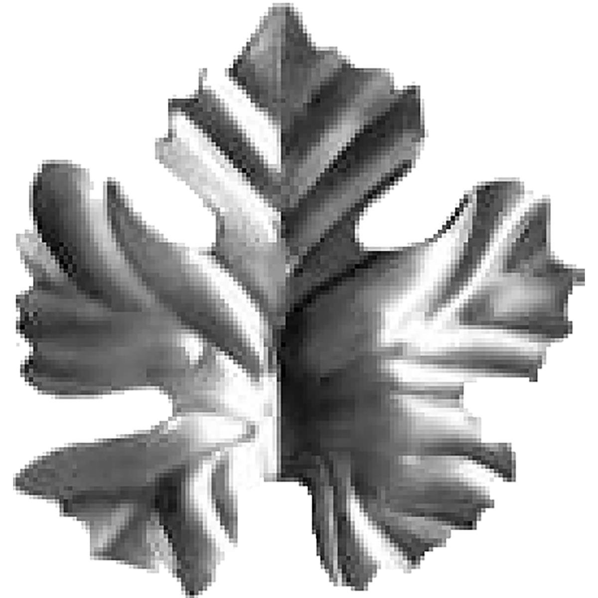 19682